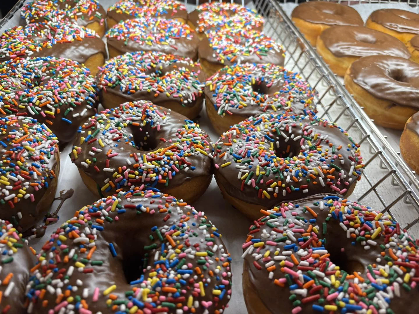 Chocolate sprinkle donuts close-up